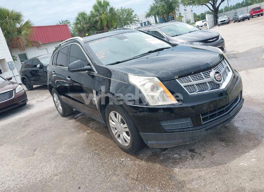 2011 Cadillac Srx LUXURY COLLECTION (VIN 3GYFNAEY8BS672989) main photo