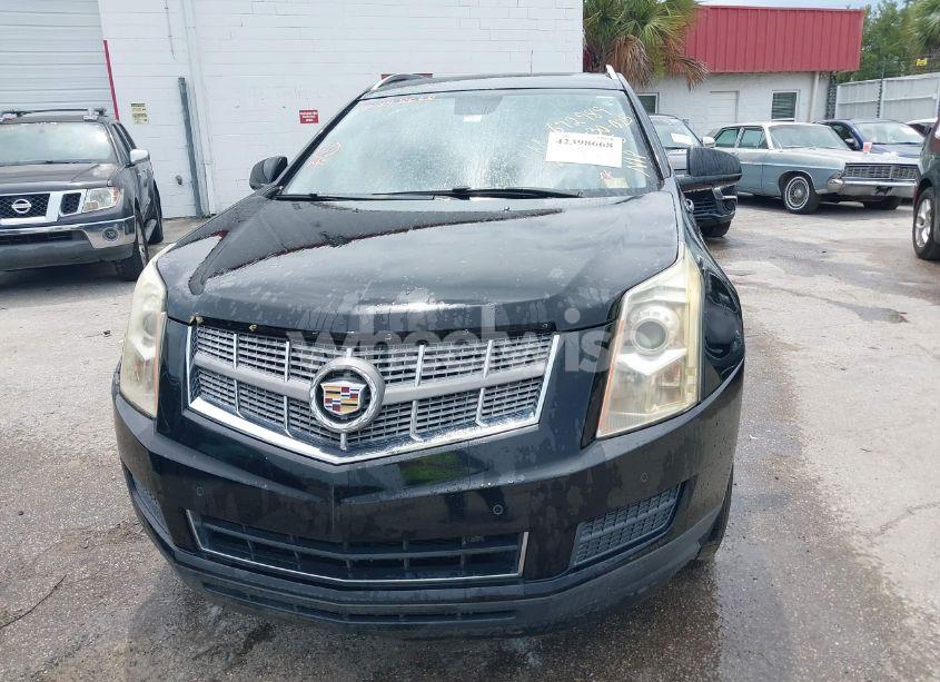 Photo 6 of 2011 Cadillac Srx LUXURY COLLECTION (VIN 3GYFNAEY8BS672989)