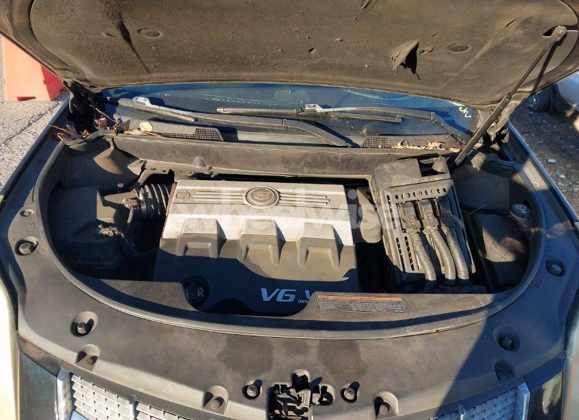 Photo 10 of 2010 Cadillac Srx LUXURY COLLECTION (VIN 3GYFNAEY9AS586296)