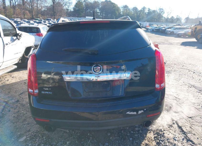 Photo 16 of 2010 Cadillac Srx LUXURY COLLECTION (VIN 3GYFNAEY9AS586296)