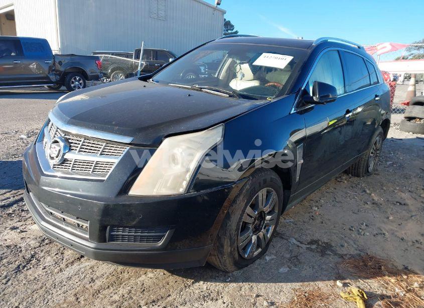 Photo 2 of 2010 Cadillac Srx LUXURY COLLECTION (VIN 3GYFNAEY9AS586296)