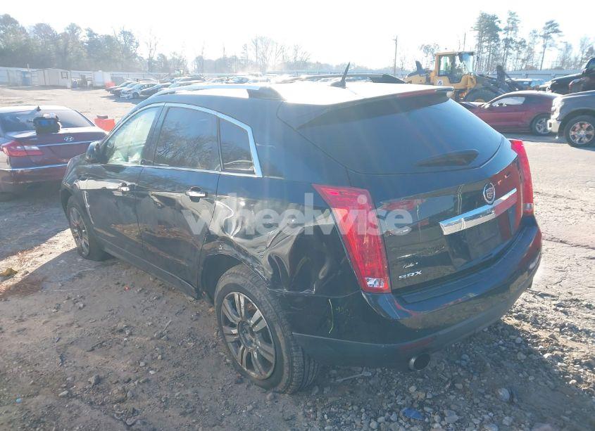 Photo 3 of 2010 Cadillac Srx LUXURY COLLECTION (VIN 3GYFNAEY9AS586296)