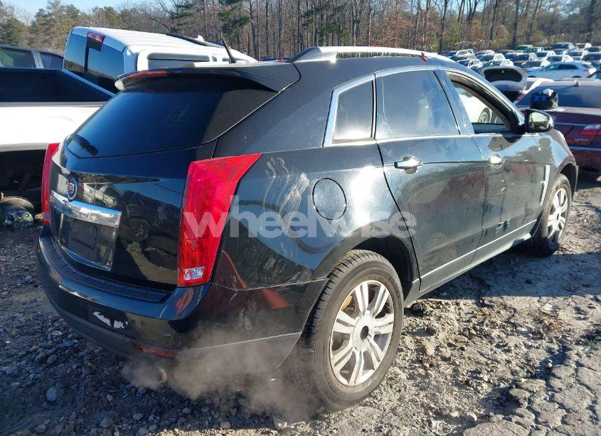 Photo 4 of 2010 Cadillac Srx LUXURY COLLECTION (VIN 3GYFNAEY9AS586296)