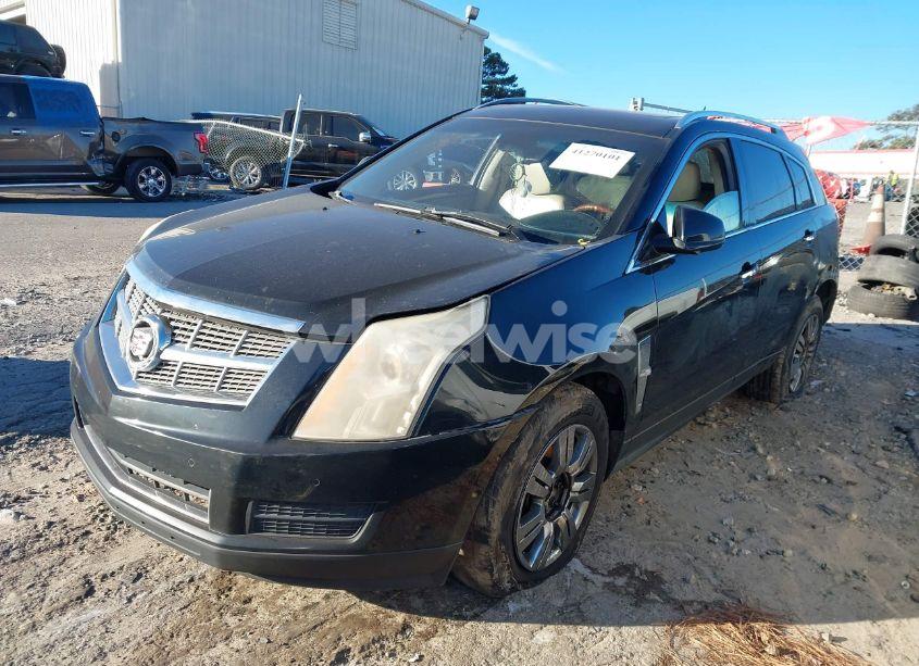 Photo 6 of 2010 Cadillac Srx LUXURY COLLECTION (VIN 3GYFNAEY9AS586296)