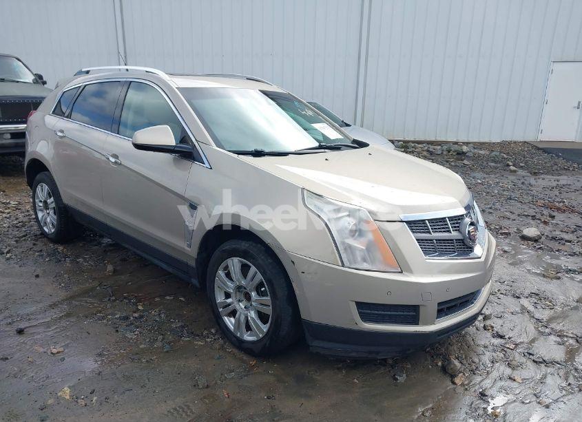 2010 Cadillac Srx LUXURY COLLECTION (VIN 3GYFNAEY9AS646643) main photo