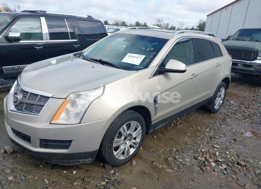 Photo 2 of 2010 Cadillac Srx LUXURY COLLECTION (VIN 3GYFNAEY9AS646643)