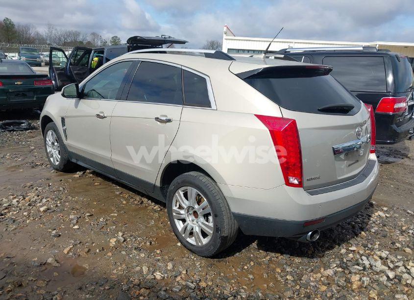 Photo 3 of 2010 Cadillac Srx LUXURY COLLECTION (VIN 3GYFNAEY9AS646643)
