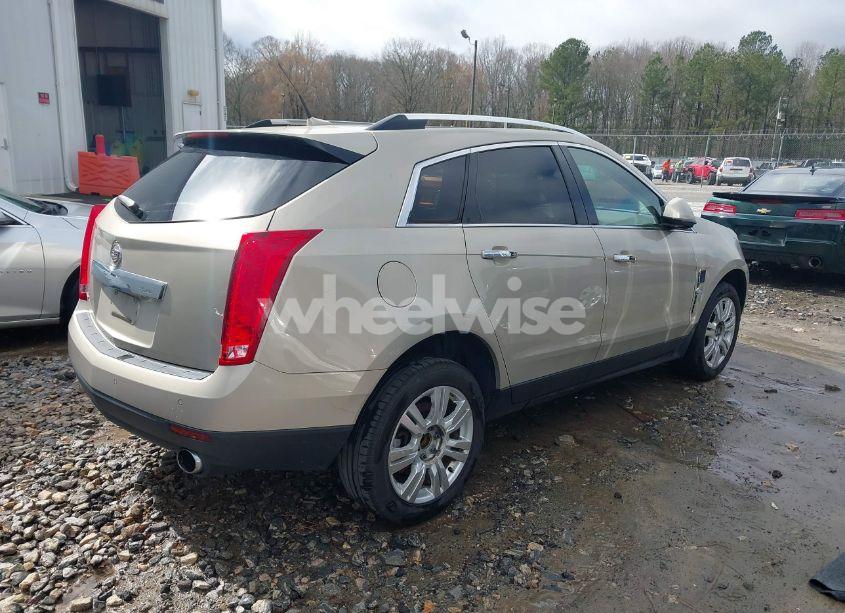 Photo 4 of 2010 Cadillac Srx LUXURY COLLECTION (VIN 3GYFNAEY9AS646643)