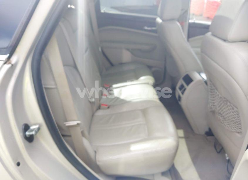 Photo 8 of 2010 Cadillac Srx LUXURY COLLECTION (VIN 3GYFNAEY9AS646643)