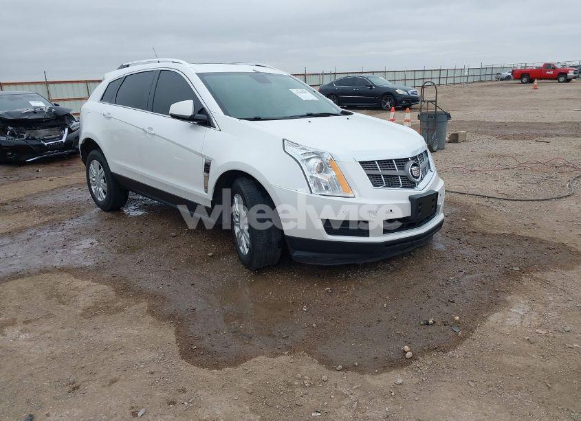 2010 Cadillac Srx LUXURY COLLECTION (VIN 3GYFNAEY9AS653401) main photo