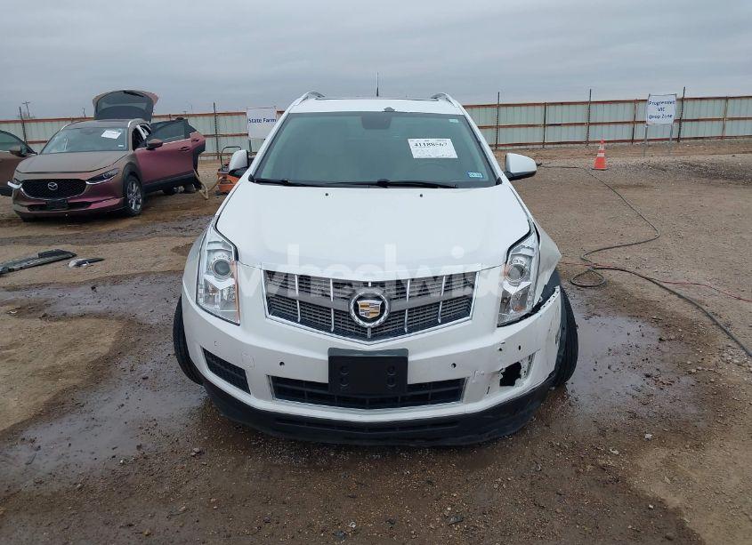 Photo 12 of 2010 Cadillac Srx LUXURY COLLECTION (VIN 3GYFNAEY9AS653401)
