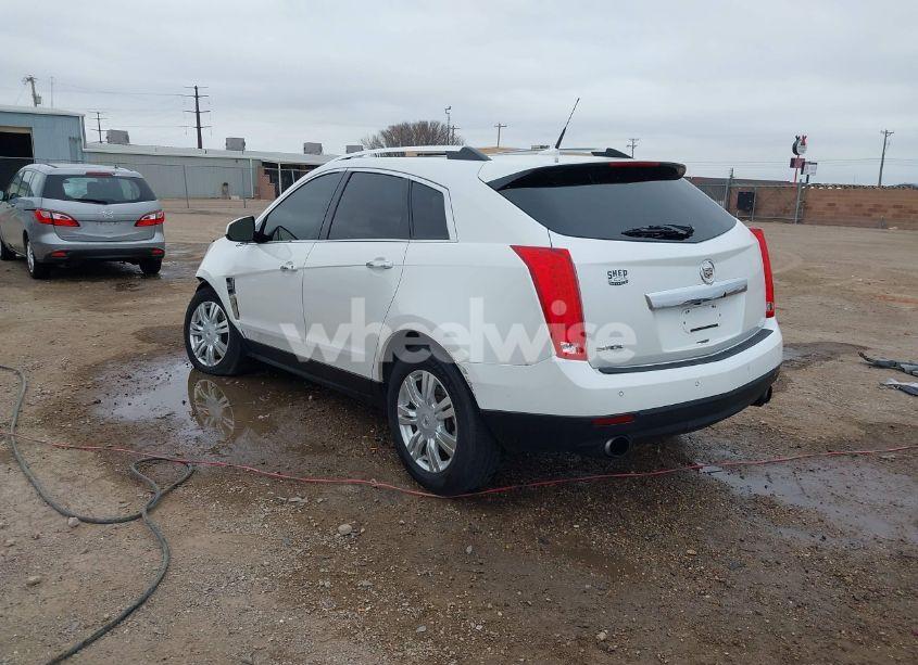Photo 3 of 2010 Cadillac Srx LUXURY COLLECTION (VIN 3GYFNAEY9AS653401)