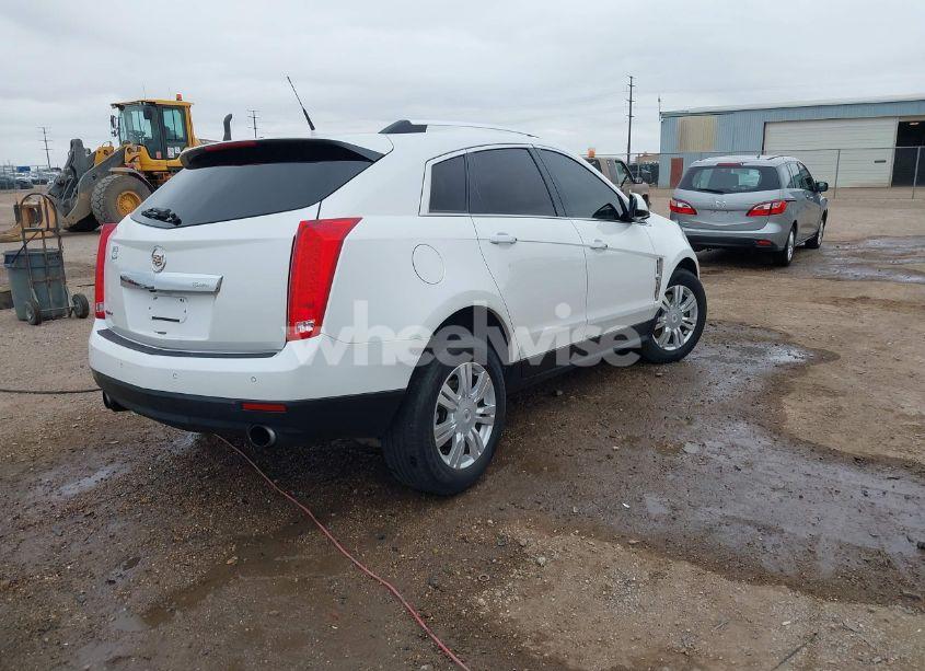 Photo 4 of 2010 Cadillac Srx LUXURY COLLECTION (VIN 3GYFNAEY9AS653401)