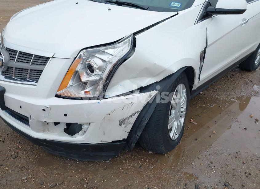 Photo 6 of 2010 Cadillac Srx LUXURY COLLECTION (VIN 3GYFNAEY9AS653401)