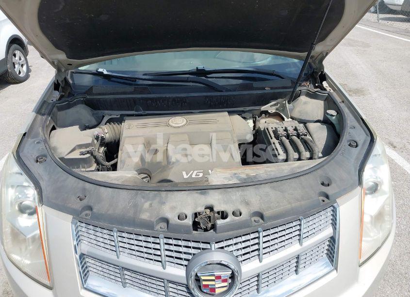 Photo 10 of 2011 Cadillac Srx LUXURY COLLECTION (VIN 3GYFNAEY9BS520381)