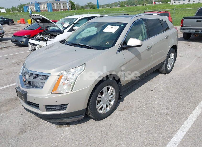 Photo 2 of 2011 Cadillac Srx LUXURY COLLECTION (VIN 3GYFNAEY9BS520381)