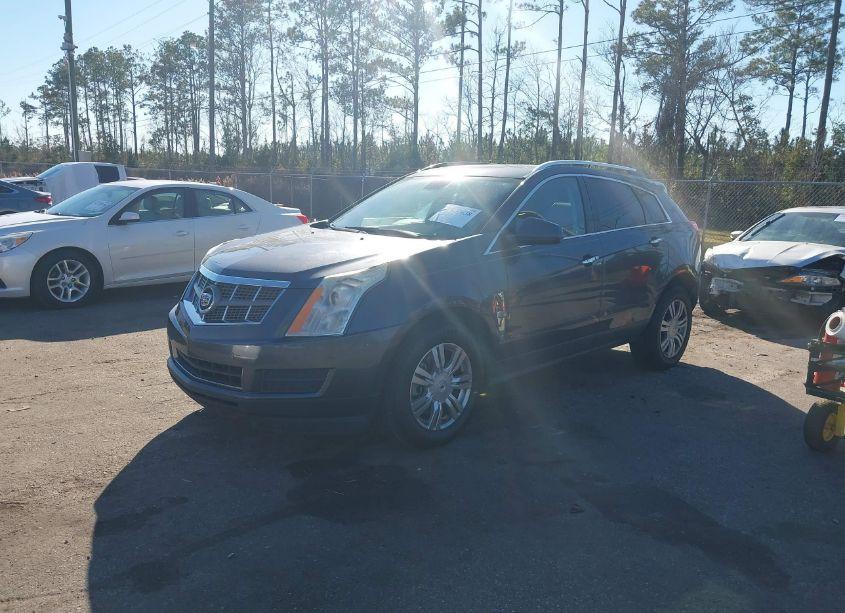Photo 2 of 2011 Cadillac Srx LUXURY COLLECTION (VIN 3GYFNAEY9BS537150)
