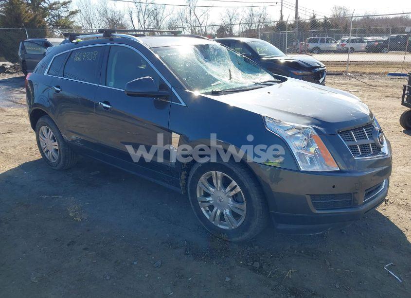 2011 Cadillac Srx LUXURY COLLECTION (VIN 3GYFNAEY9BS554725) main photo