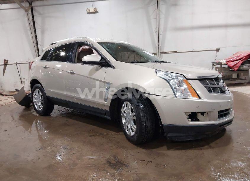 2011 Cadillac Srx LUXURY COLLECTION (VIN 3GYFNAEY9BS629228) main photo