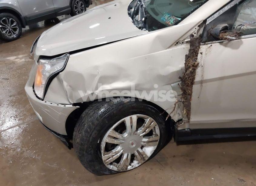 Photo 12 of 2011 Cadillac Srx LUXURY COLLECTION (VIN 3GYFNAEY9BS629228)