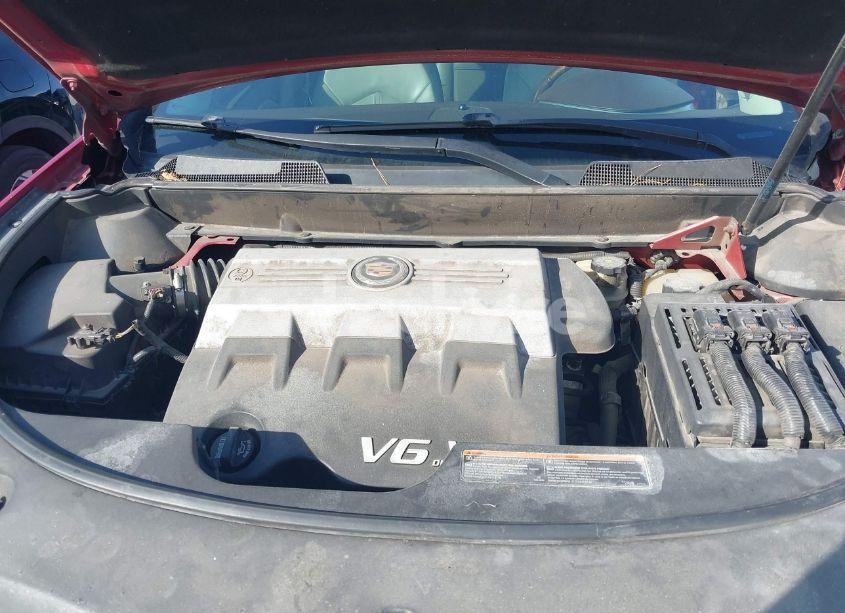 Photo 10 of 2010 Cadillac Srx LUXURY COLLECTION (VIN 3GYFNAEYXAS623484)