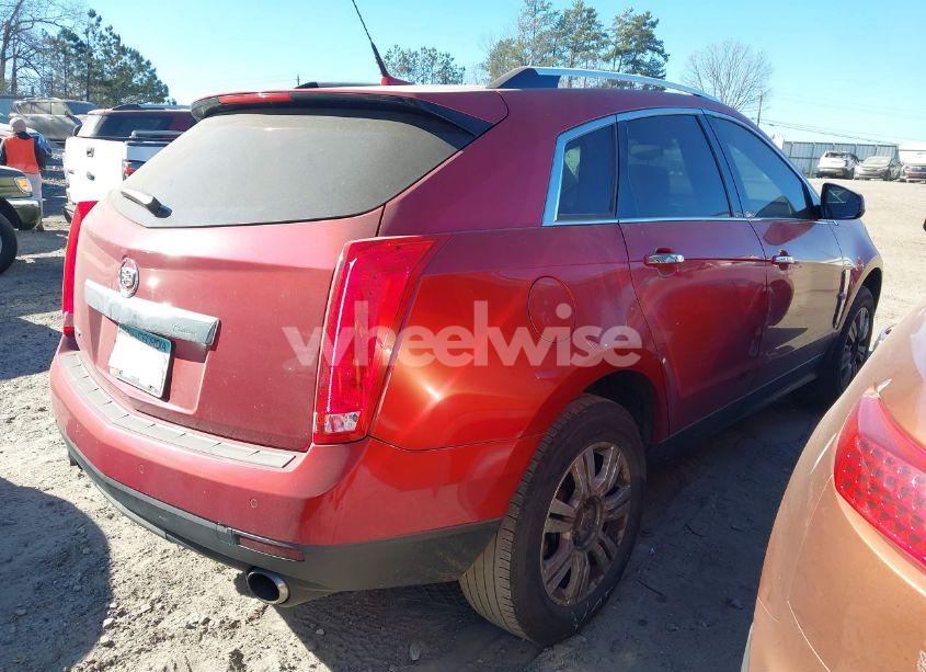 Photo 4 of 2010 Cadillac Srx LUXURY COLLECTION (VIN 3GYFNAEYXAS623484)