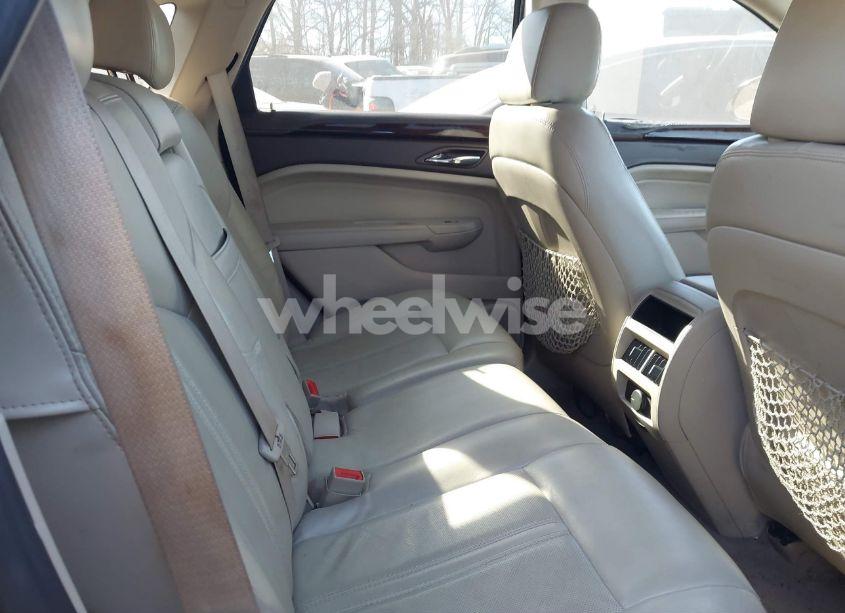 Photo 8 of 2010 Cadillac Srx LUXURY COLLECTION (VIN 3GYFNAEYXAS623484)