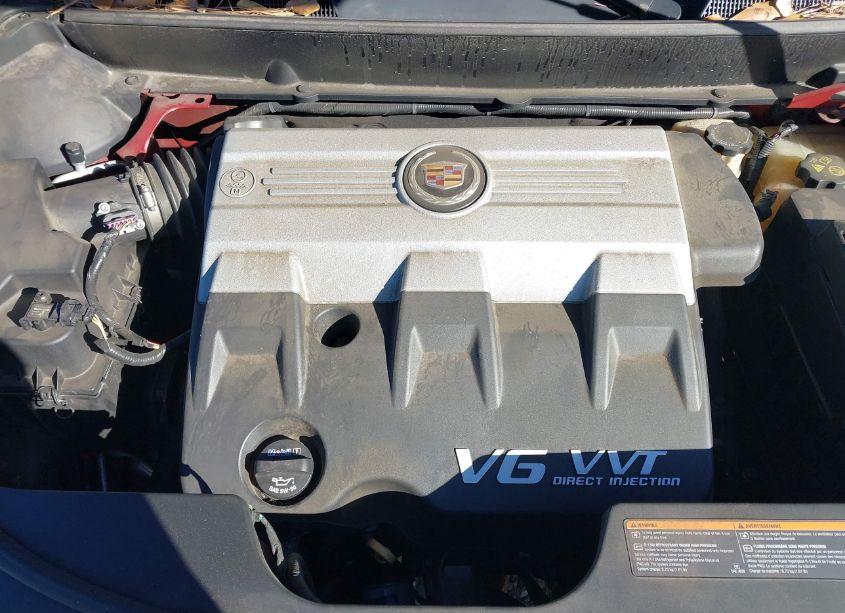 Photo 10 of 2010 Cadillac Srx LUXURY COLLECTION (VIN 3GYFNAEYXAS643766)