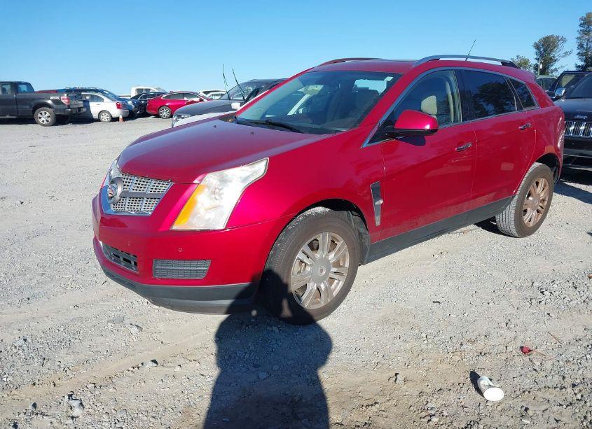 Photo 2 of 2010 Cadillac Srx LUXURY COLLECTION (VIN 3GYFNAEYXAS643766)