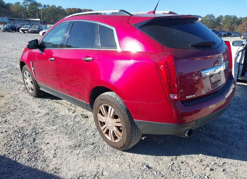 Photo 3 of 2010 Cadillac Srx LUXURY COLLECTION (VIN 3GYFNAEYXAS643766)