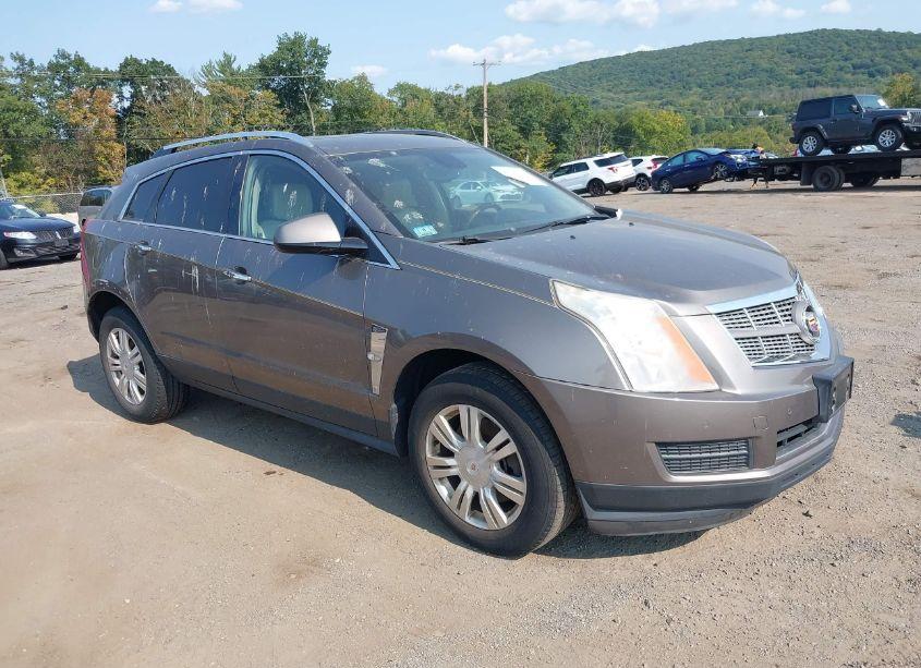 2011 Cadillac Srx LUXURY COLLECTION (VIN 3GYFNAEYXBS518588) main photo