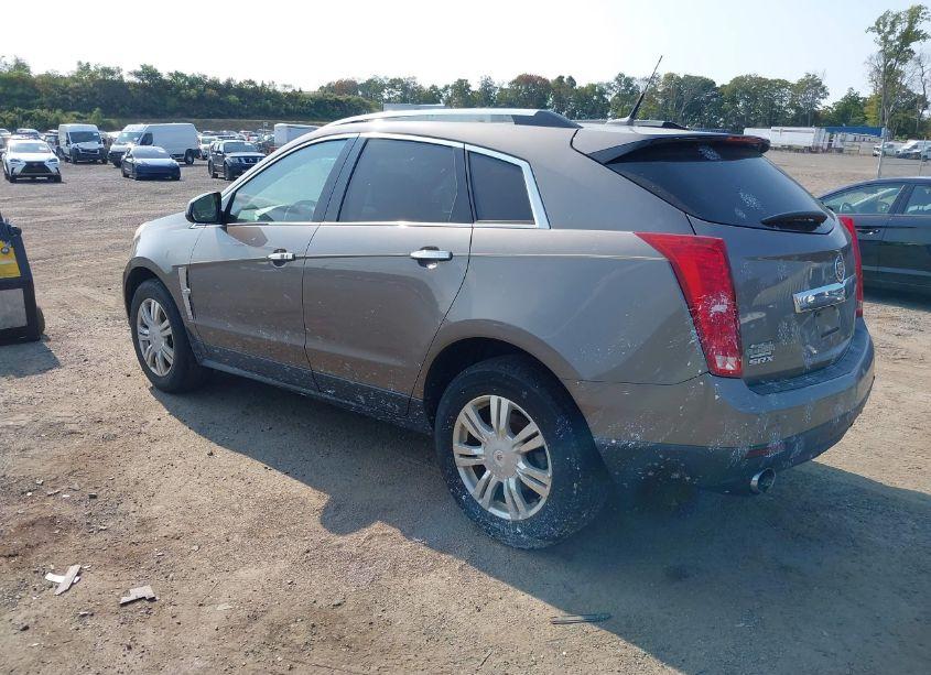 Photo 3 of 2011 Cadillac Srx LUXURY COLLECTION (VIN 3GYFNAEYXBS518588)