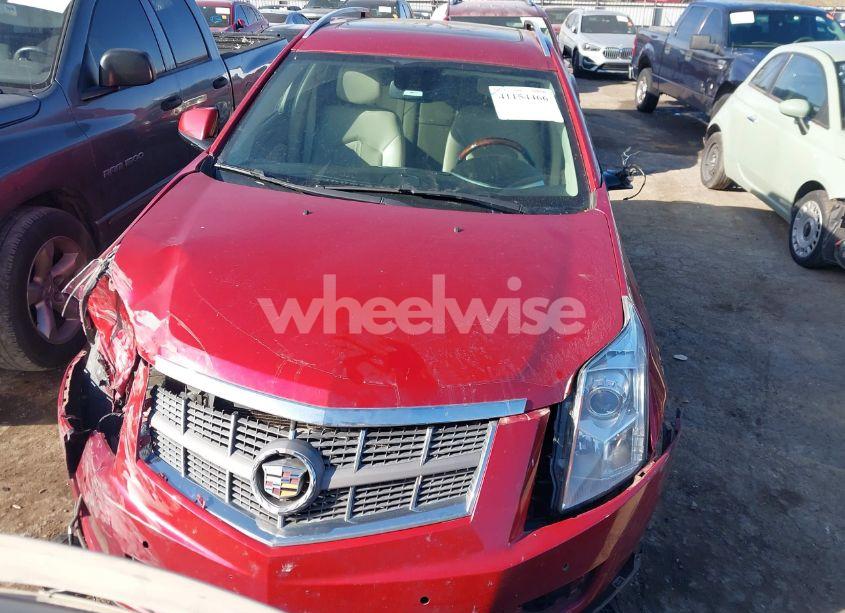 Photo 12 of 2011 Cadillac Srx LUXURY COLLECTION (VIN 3GYFNAEYXBS626404)