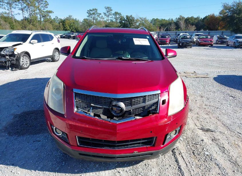 Photo 12 of 2012 Cadillac Srx PERFORMANCE COLLECTION (VIN 3GYFNBE30CS600289)