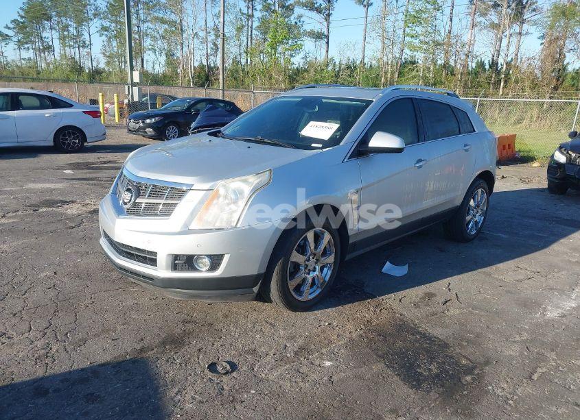 Photo 2 of 2012 Cadillac Srx PERFORMANCE COLLECTION (VIN 3GYFNBE31CS590582)