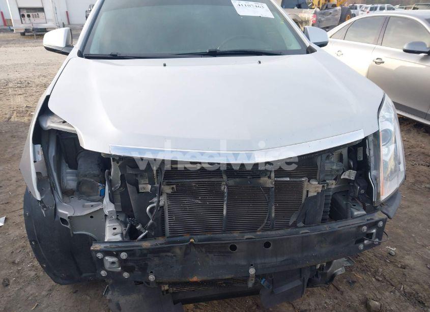 Photo 13 of 2012 Cadillac Srx PERFORMANCE COLLECTION (VIN 3GYFNBE32CS503787)