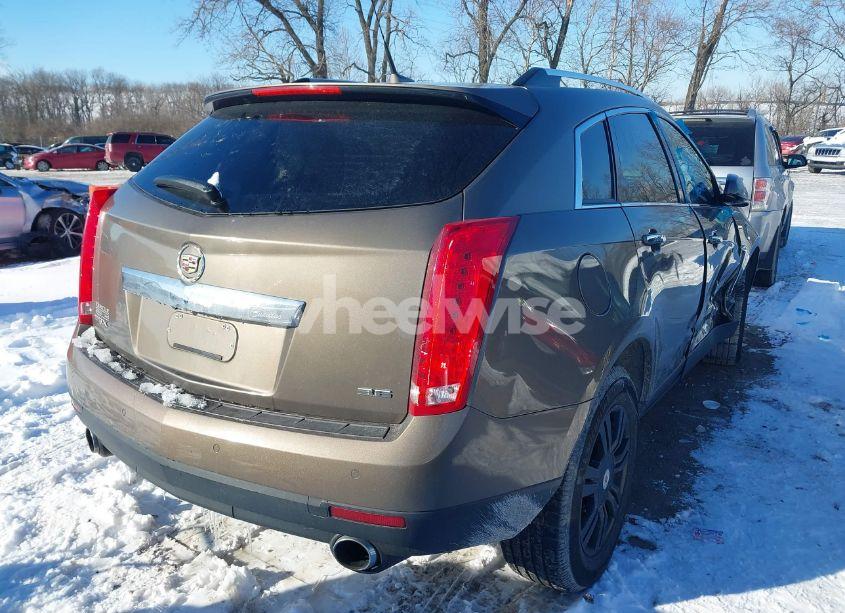 Photo 4 of 2014 Cadillac Srx LUXURY COLLECTION (VIN 3GYFNBE33ES616246)