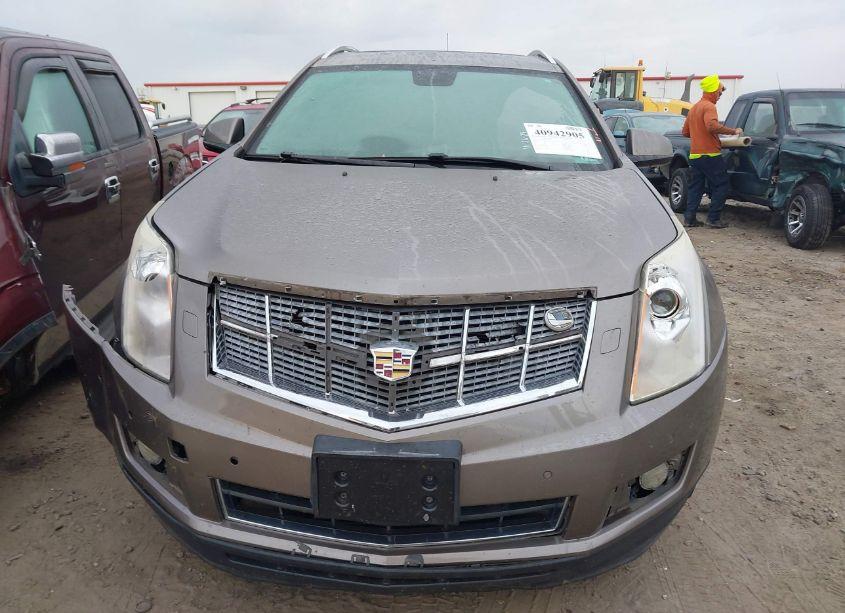 Photo 13 of 2012 Cadillac Srx PERFORMANCE COLLECTION (VIN 3GYFNBE34CS542591)