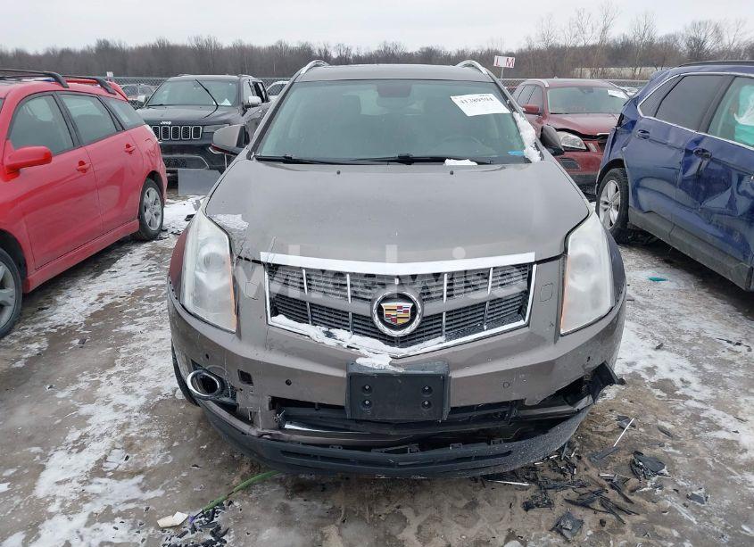 Photo 12 of 2012 Cadillac Srx PERFORMANCE COLLECTION (VIN 3GYFNBE37CS511772)