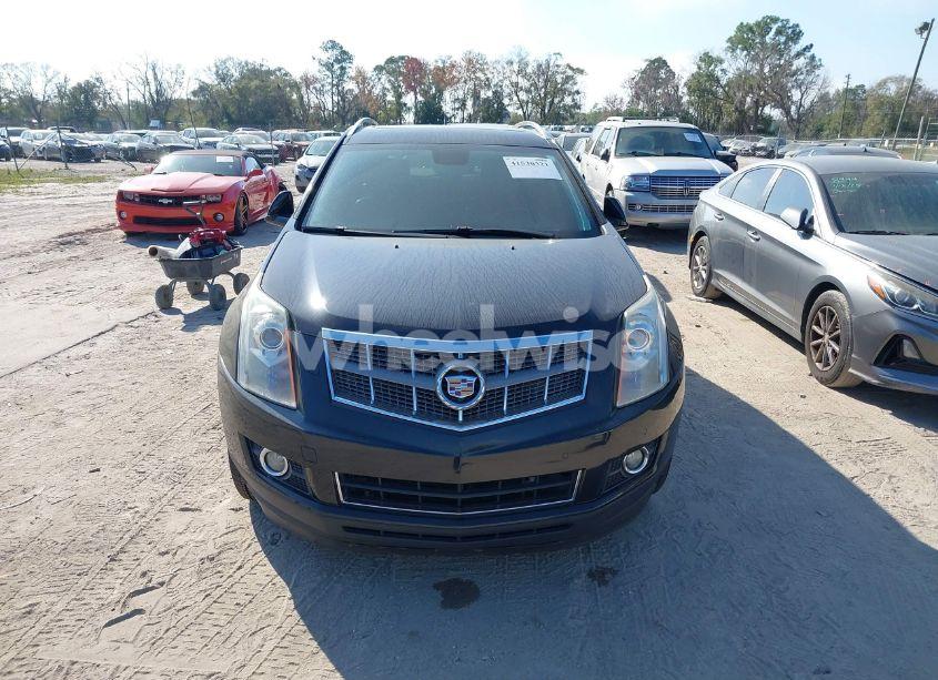 Photo 6 of 2012 Cadillac Srx PERFORMANCE COLLECTION (VIN 3GYFNBE38CS500845)