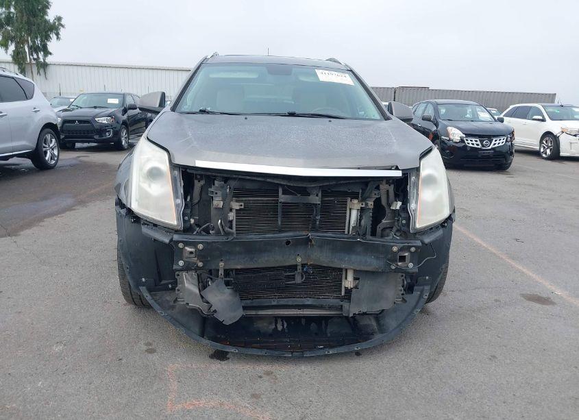 Photo 13 of 2012 Cadillac Srx PERFORMANCE COLLECTION (VIN 3GYFNBE38CS502286)