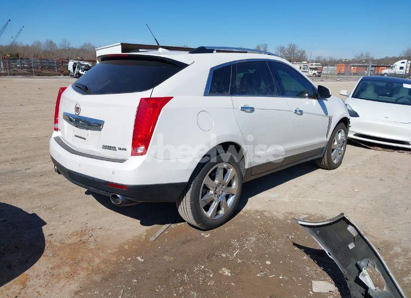 Photo 4 of 2012 Cadillac Srx PERFORMANCE COLLECTION (VIN 3GYFNBE38CS653936)