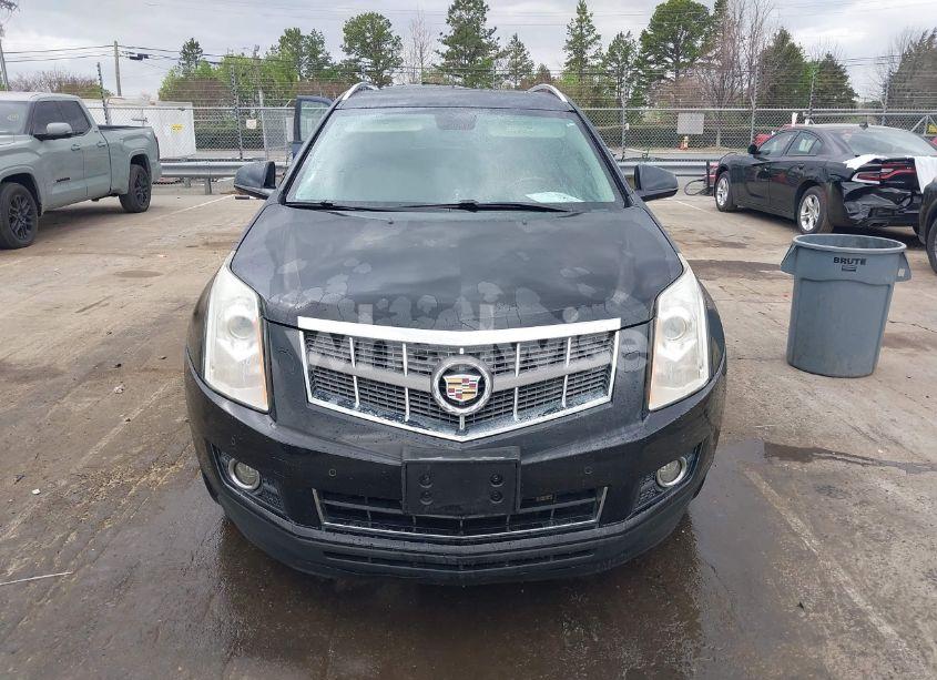 Photo 13 of 2012 Cadillac Srx PERFORMANCE COLLECTION (VIN 3GYFNBE39CS556339)