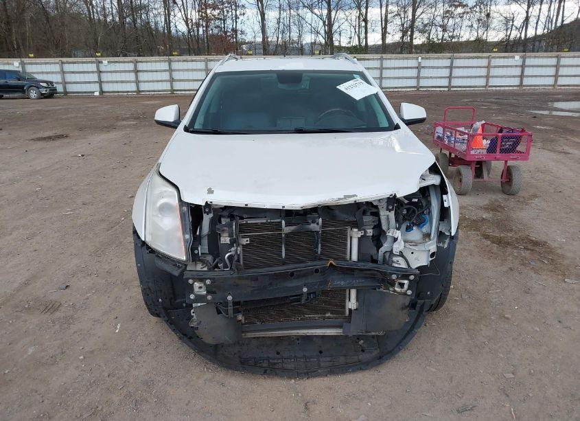 Photo 12 of 2012 Cadillac Srx PERFORMANCE COLLECTION (VIN 3GYFNBE39CS580771)