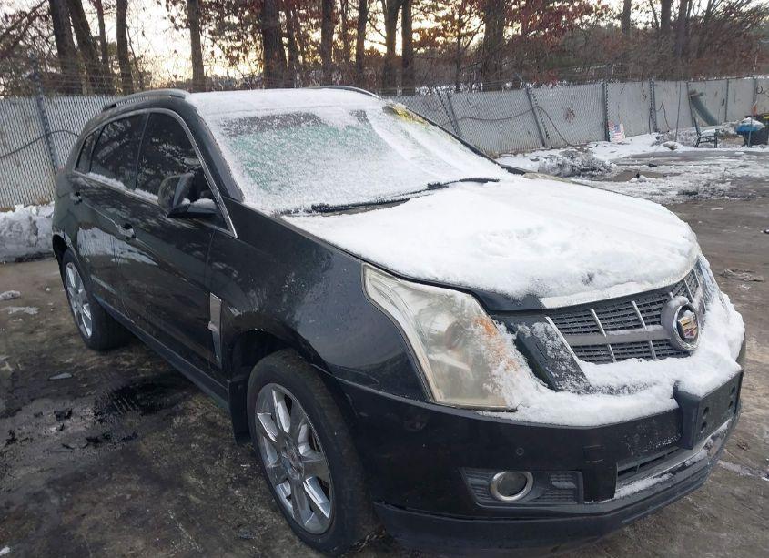 2012 Cadillac Srx PERFORMANCE COLLECTION (VIN 3GYFNBE39CS641892) main photo