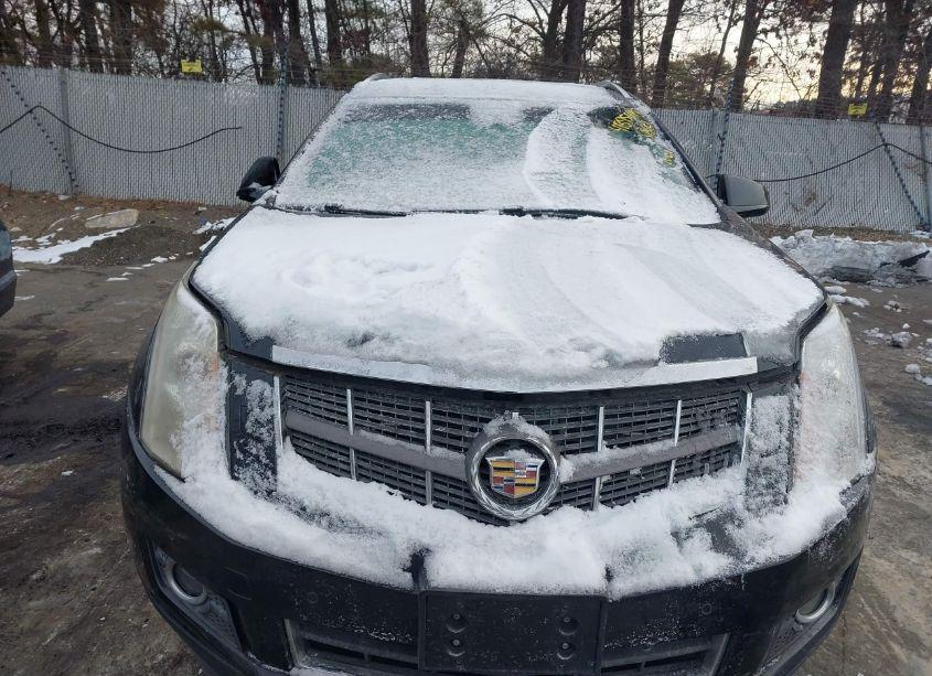 Photo 6 of 2012 Cadillac Srx PERFORMANCE COLLECTION (VIN 3GYFNBE39CS641892)