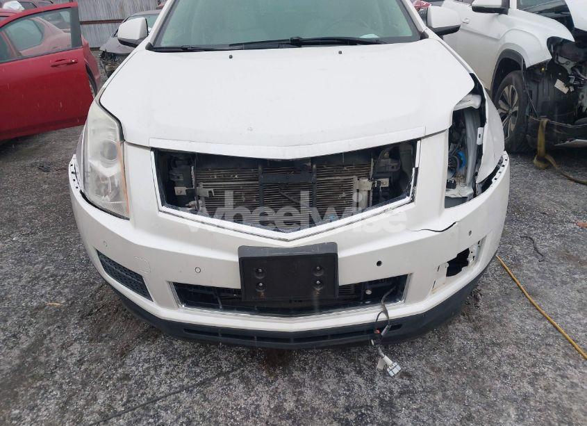 Photo 6 of 2015 Cadillac Srx LUXURY COLLECTION (VIN 3GYFNBE3XFS598281)