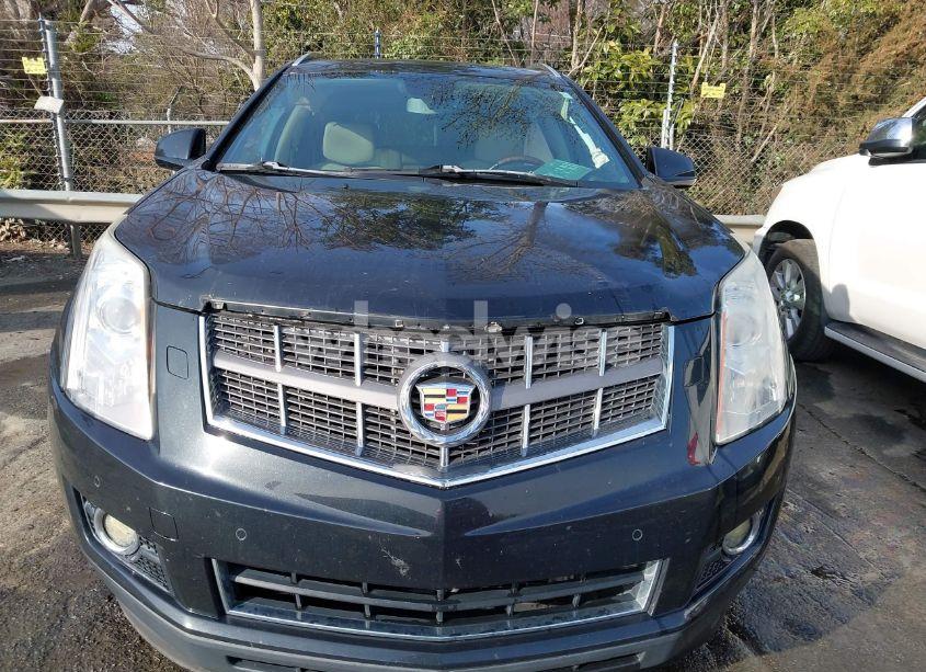 Photo 12 of 2011 Cadillac Srx PERFORMANCE COLLECTION (VIN 3GYFNBEY0BS549032)