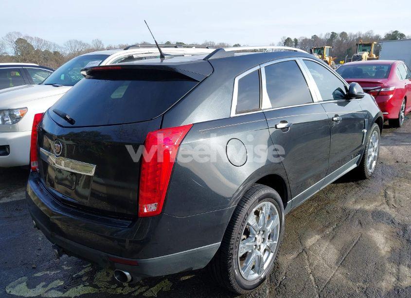 Photo 4 of 2011 Cadillac Srx PERFORMANCE COLLECTION (VIN 3GYFNBEY0BS549032)