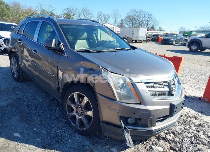 2011 Cadillac Srx PERFORMANCE COLLECTION (VIN 3GYFNBEY0BS674547) main photo